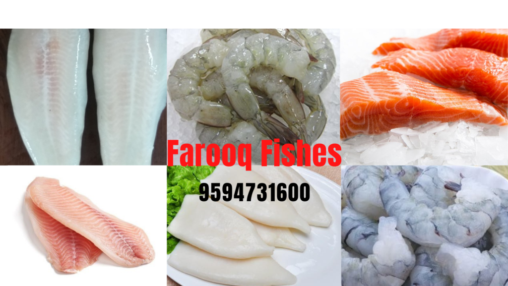 Farooq Fishes Facebook Cover Page Small