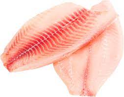 Frozen Tilapia Fish Fillet