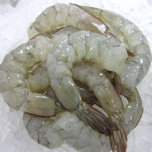 Frozen Prawns